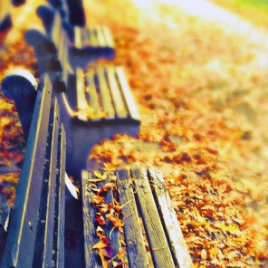 Fall Benches